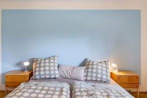 Agriturismo nella Valle del Salzbach – Wildbiene per un massimo di quattro persone - Image 4