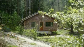 Forest Garden Cottage by the Ocean - Image 4