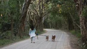 Pets welcome-no fees; W'chair access; Free Wifi - Image 3
