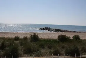 Wohnung T2 am Strand 1. Linie in Frontignan PLAGE - Image 3
