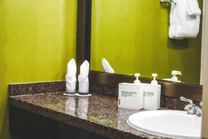 Pet-Friendly | Whistler | Shuttle, Pool + Hot Tub - Image 2