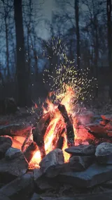 The Cozy Cabin: Shabby Chic & Totally Tranquil - Image 3