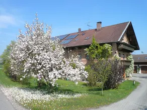 Kampenwand ferielejlighed, 55 kvm første sal, 2 separate soveværelser - Image 4