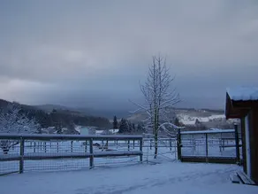 Gite de tourisme et gîte équestre - Image 5