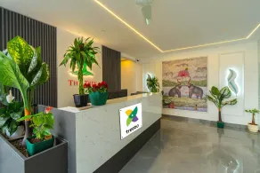 Treebo Hinjewadi Residency - Image 3