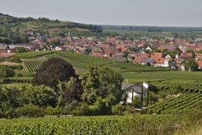 Ferienwohnung Landvogt - Image 4