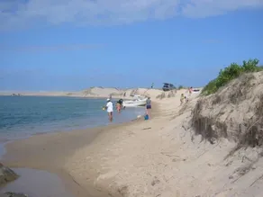 Il paradiso tropicale circondato da acque luccicanti ti aspetta - Image 3