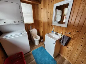 Deluxe Little Manistee River Cabin - Irons, MI - Image 4