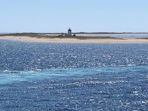Provincetown cottage: outdoor shower,parking,two decks, pool, steps to beach. - Image 3