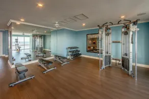 Luxury Villa, Private Lounge Access, Pool and Gym - Image 4