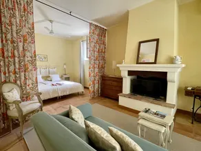 Spacious holiday rental in the heart of Provence - Image 4