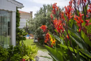 Kokopelli Alacati - Image 4