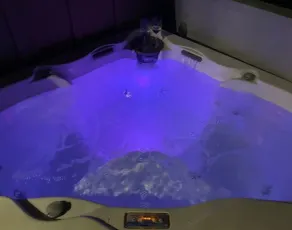 Pristine 4 seasons cabin with 9 beds & hot tub - Image 2