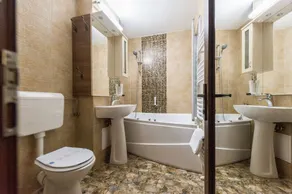 Apartament Carol Davila - Image 3