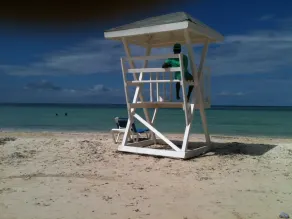 'Real Jamaican Experience' Vacation An Affordable a Falmouth - Image 5