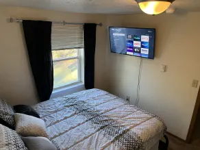 Cozy 1 Bedroom Located Downtown/Close to Soaring Eagle/CMU - Image 5