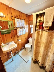 Cozy Cabin with Lake Views - Rustic Getaway - Image 3