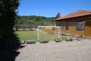 Entre laranjeiras, fazenda rural - Image 3