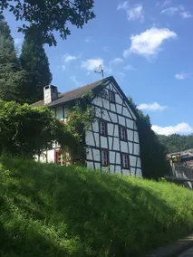 Noah - Seeleben auf Zeit am Rursee - Image 3