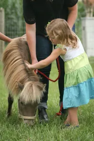 Welcome to our farm and guest house in Amish Country! - Image 3