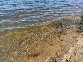 Sunset Point West facing cottage. Amazing spot RIGHT on the water!!! - Image 2
