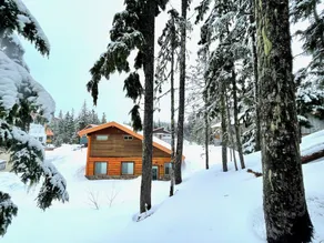 Barlow Pines Lodge - spacious cabin next to Ski Bowl with a Mt. Hood view - Image 4