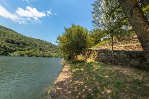 Douro Green - Country House - Image 3