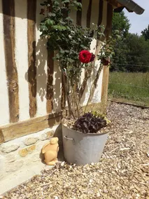 Kleine Unterkunft „Le chouette insolite“ mit privatem Garten und nordischem Bad - Image 3
