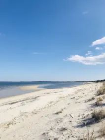 Large Lewes Beach rental; one block from bay! Perfect for family vacations! - Image 5