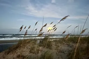 Sand Life - Pelican's Northern Nest -Pet Friendly! - Image 4