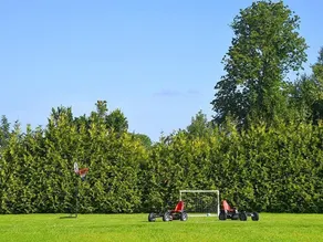 Appartamento Eulennest - Hof L��ck - Image 4