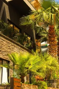 Hotel Apollon Sarande - Image 4