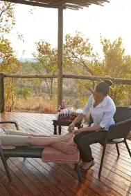 The Elephant Camp - Image 4