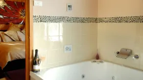 Stunning Views at the Skyview Penthouse or cosy romantic Eagle Nest - Image 3