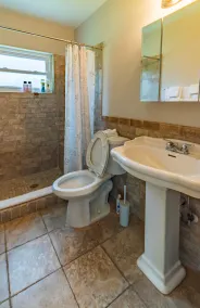 Tampa Bay Area - Image 2