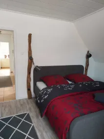 In the forest in a minute. Cozy vacation apartment on the outskirts of the village. - Image 4
