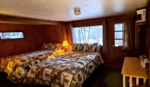 Rustic Cabin in beautiful environment under Pine Trees - Image 5