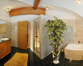 Apartment in Achenkirch with a garden - Image 3