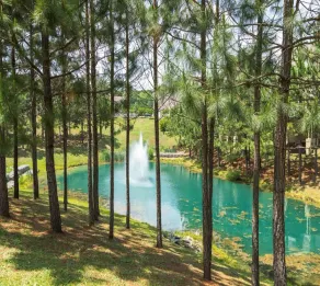 Luxury vacation home located in Williamsburg, Va. near theme parks and beaches. - Image 5