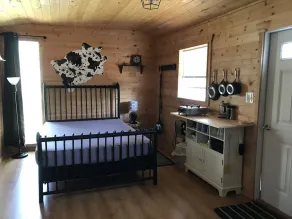 Blue Owl Tiny house - Image 3