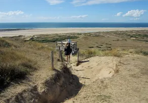 A dunas, praia, natureza, perto de Carteret / As dunas, a praia ... - Image 5