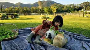Fig Tree Farm B&B Highvale-Farmstay near Brisbane! - Image 2