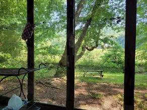 Campingplatz Nr. 4! Zeltcamping in der Nähe des Dupont State Forest! - Image 4