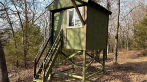 Treehouse - Great Overnight Getaway for Peace & Quiet - Image 2