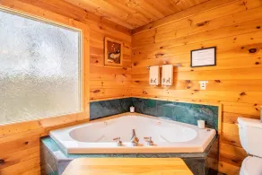 Elegant Log Cabin between Cherokee and Bryson City, hot tub & fire pit - Image 5
