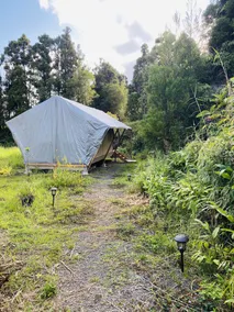 Glamping in Volcano - Image 3