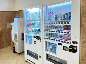 Toyoko Inn Hokkaido Tomakomai Ekimae - Image 3