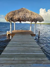 Best Combination of the Water, the Jungle, and Nearby Urban Life - Image 2