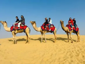 Hotel Robin Jaisalmer - Image 2