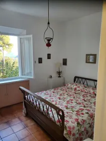 Olive house - Image 5